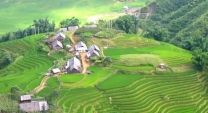 Magnificent-Terrace-Fields-Vietnam
