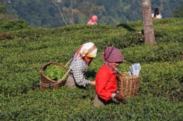 bhutan-darjeeling-sikkim