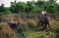 chitwan-wildlife-tour-extension